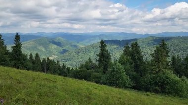 Yazın, Karpatlar 'da, güneşli havada yeşil dağlar. hava aracı görünümü
