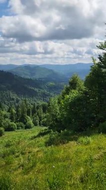 Arkasında bir dağ olan güzel bir manzara.