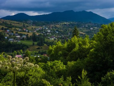 Yaz dağı manzarası. Karpat Dağları, Ukrayna.