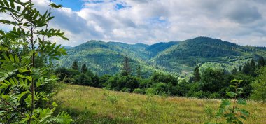 Dağlardaki güzel yaz manzarası. Karpatyalı, Ukraynalı