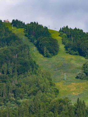 Ormanın güzel manzarası