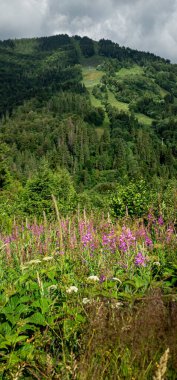Dağların güzel manzarası