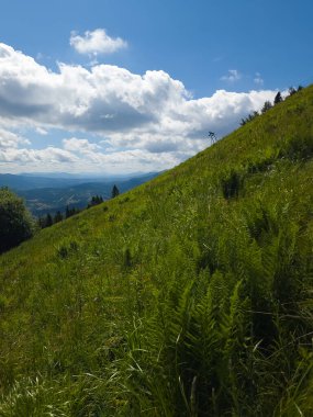Yazın Karpat Dağlarının güzel manzarası