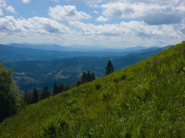 Yaz dağı manzarası. Ağaçları ve dağları olan güzel yeşil orman.