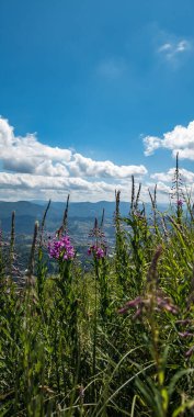 Arkasında bir dağ olan güzel bir manzara.