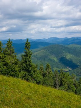 Czech dağlarında yaz manzarası
