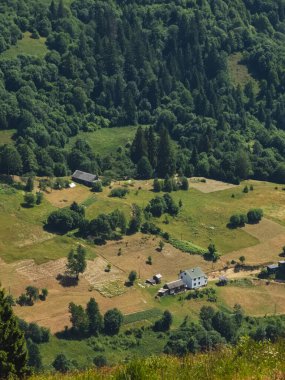 Dağın tepesinde güzel bir yeşil çimen görüntüsü