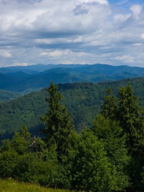 Karpat Dağları 'nın güzel manzarası.