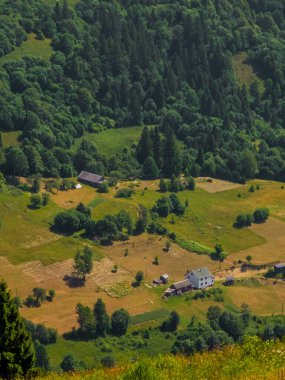 Dağlarda yaz manzarası