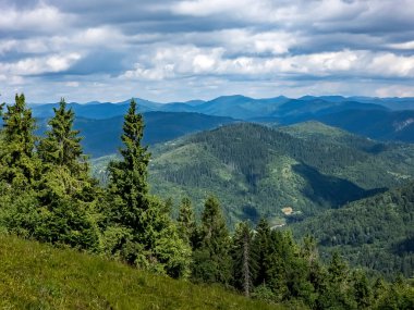Dağ yolundaki yeşil orman, güzel yaz manzarası