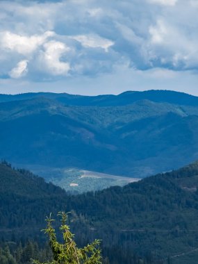 Karpatlar 'daki dağın güzel manzarası