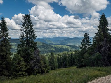 Doğanın güzel manzarası