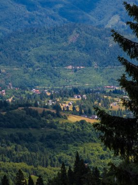 Karpatlar 'daki dağ köyünün manzarası