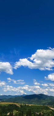 Güzel bir manzara Ağacı ve mavi gökyüzü