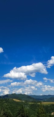 Güzel bir manzara Ağacı ve mavi gökyüzü