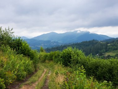 Karpat dağlarının yaz mevsiminde manzarası