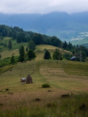 Karpat Dağları. Karpatların manzarası..