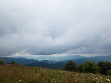 Karpatlar manzarada yaz