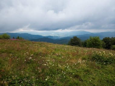 Arkasında bir dağ olan güzel bir manzara.