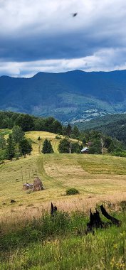 Yazın dağların manzarası