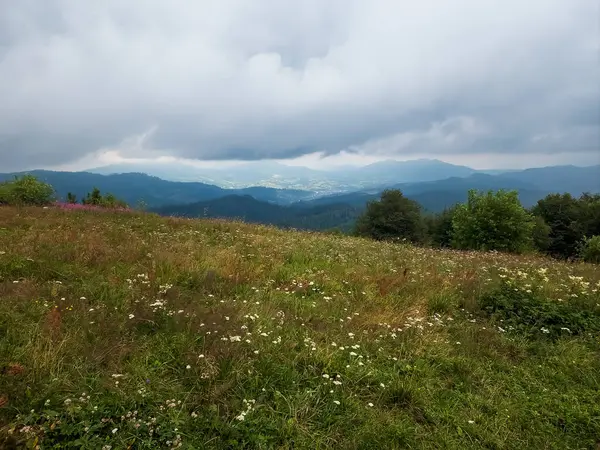 Arkasında bir dağ olan güzel bir manzara.