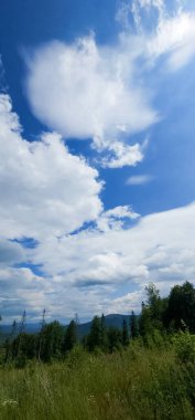 Ağaçlarla ve mavi gökyüzüyle güzel bir manzara.