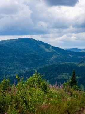 Yüksek bir dağdan ormana manzara, dağların güzel manzarası, Karpatlar, Ukrayna, Avrupa.