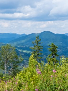 Blue Ridge Ulusal Parkı
