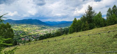 Karpatya dağlarındaki dağın tepesinden yaz manzarası