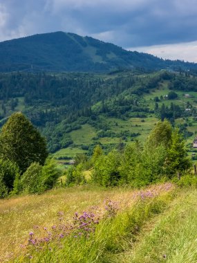 Ukrayna Karpatları 'nın güzel manzarası