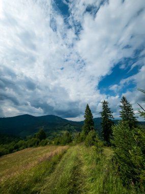 Karpatlar 'da yaz. Bulutlu mavi gökyüzünde yeşil çimenler ve ağaçlar. Güzel manzara. Doğadaki güzellik.