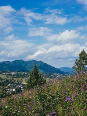 Doğanın güzel manzarası