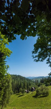 Karpatlarda Yaz manzarası