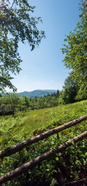 Doğanın güzel manzarası