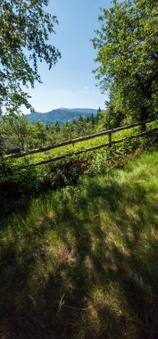 Arkasında mavi gökyüzü ve çitleri olan yeşil bir tarla.