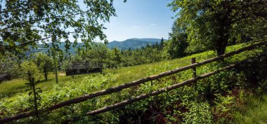 Bir dağdaki tahta çitin dikey görüntüsü.