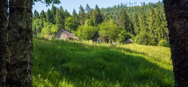 Ormandaki ahşap kulübe