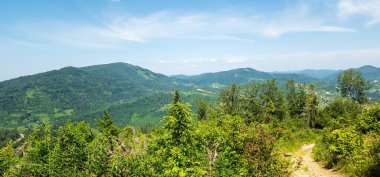 Karpatlar 'daki dağların güzel yaz manzarası