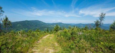 Yazın Ukrayna Karpatları 'nda dağ manzarası.