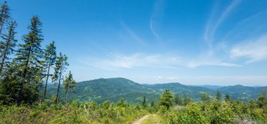 Güneşli havada Ukrayna Karpatları 'nın yeşil dağları. Yaz günü. hava aracı görünümü.