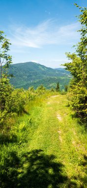 Gökyüzünün altındaki yeşil ağaçların güzel bir görüntüsü.