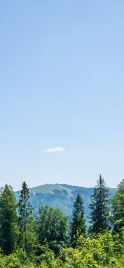 Dağların güzel manzarası