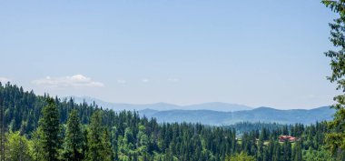 Ormandaki dağların güzel manzarası