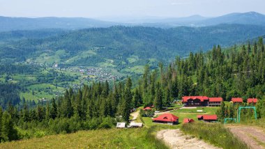 Dağın tepesinden yaz manzarası. Karpatlar, Ukrayna