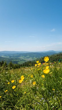 Karpatlar 'daki dağların manzarası