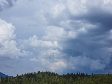 Dağ manzarası. Karpat Dağları. Ukrayna. Yaz. dağ