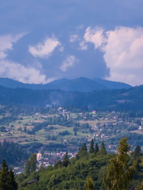 güzel dağ manzarası ile orman