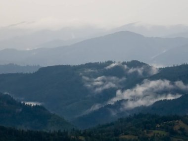 Yazın sabah sisli Karpatlar.