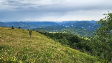 Yazın dağ manzarası