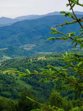 Arkadaki yeşil ağaçlar ve dağlar. Slovakya